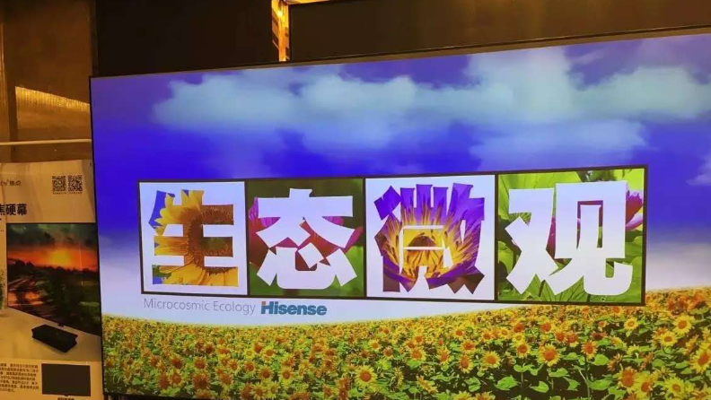 激光電視投電動幕效果好嗎？【南京東宇音響】